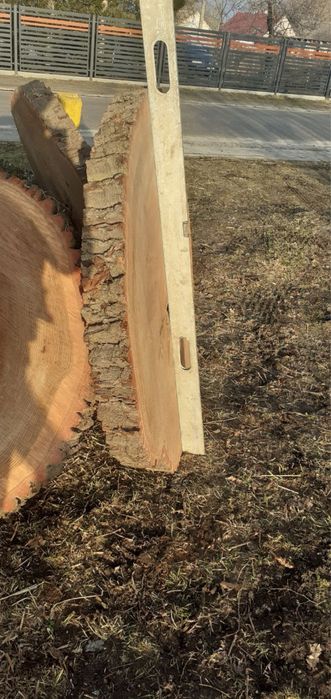 Drewno dębowe plastry srednica ok 1,5 m dąb  brusy