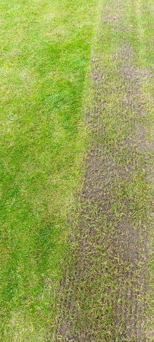 Wertykulacja, odchwaszczanie trawnikow