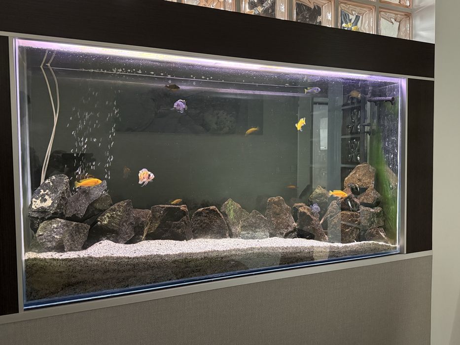 Sprzedam używane akwarium 270l (130x70x30cm) z osprzętem