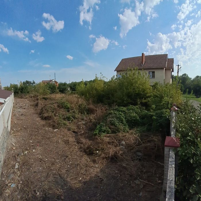 Спил деревьев. Спил деревьев.  Расчистка участков.