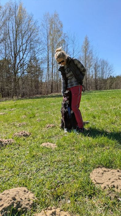 piękny, młody psiak do adopcji