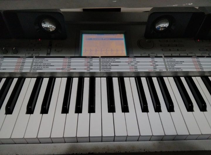 KORG Triton Pro X - 88 teclas + extras