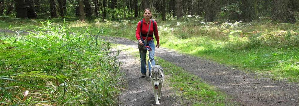 HIFICA LITE TREK PA - Pas Biodrowy Dogtrekking Trucht z Psem