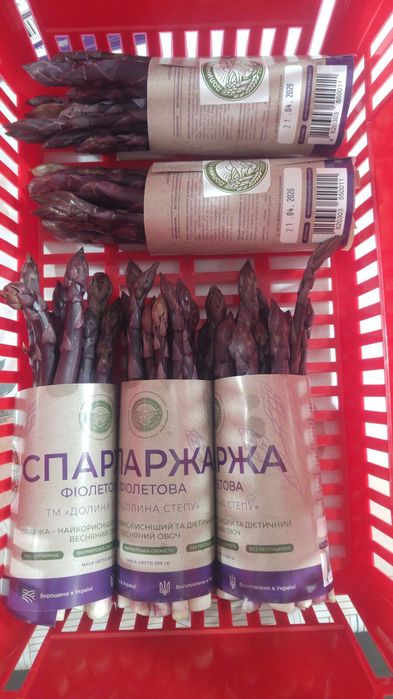 Спаржа, аспарагус фіолетова