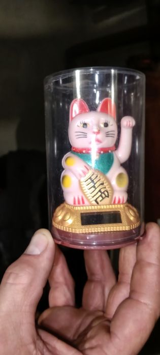 Maneki-nwko nowe