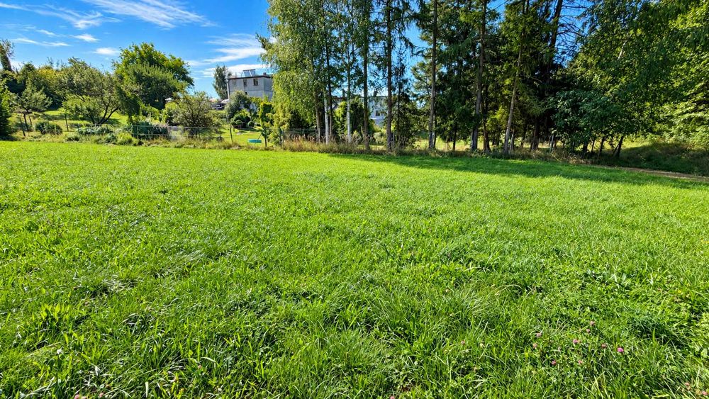 Orzesze, ul. Bukowina – działka budowlano-usługowa | 1764 m² | Pełne media - Widok 3