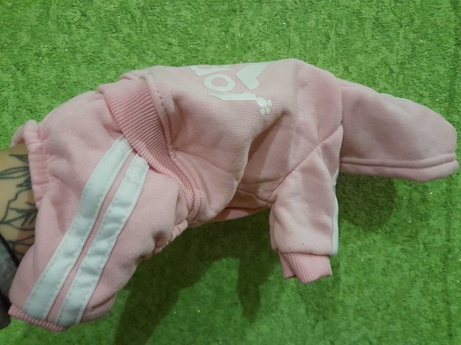 Спортивний костюм для дівчинки