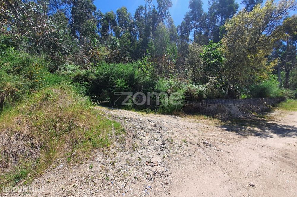 Bouça c/ 14.300m2 em Airó, Barcelos