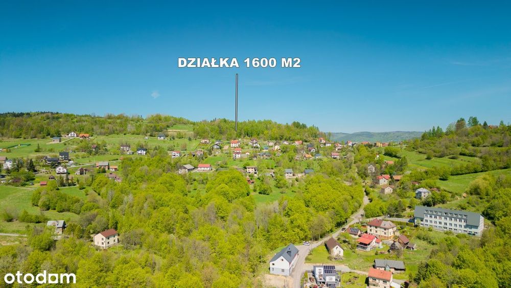 Zdjęcie 4