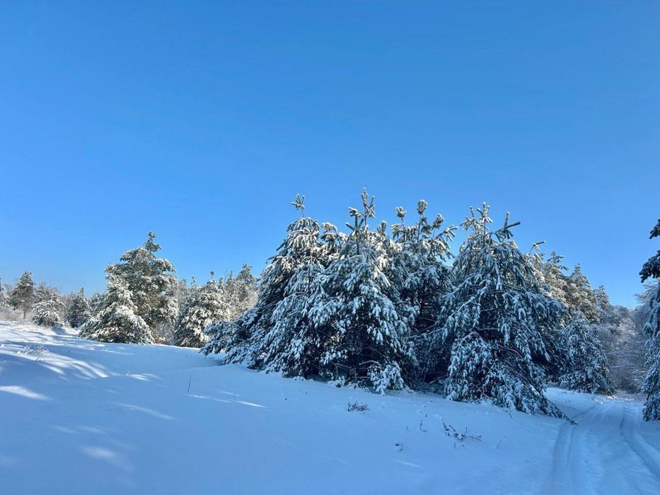 Земельна ділянка 23 га! Лишня !