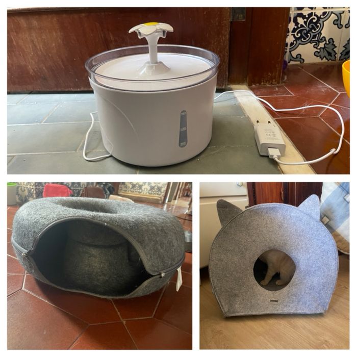 Conjunto de acessorios  para gato