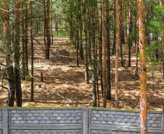 Продам участок в живописном месте с Процев !