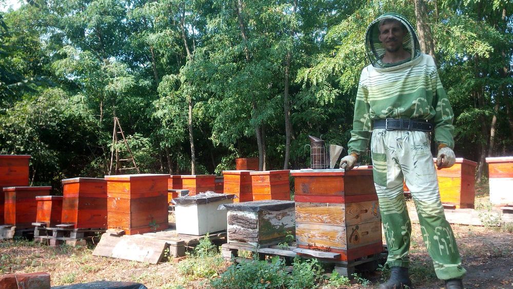 Пчелосемьи продам