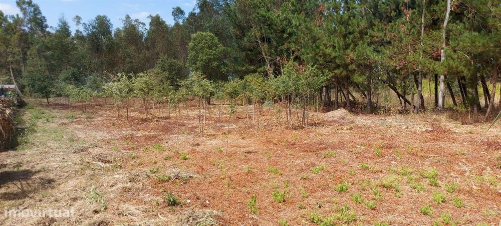 Terreno  - Quintais de Asseiçó, Paião