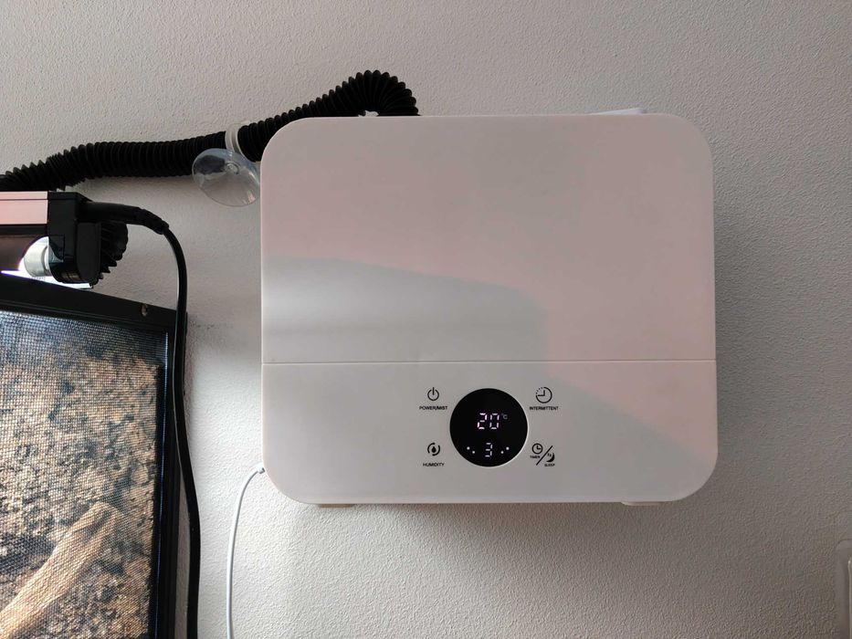 Terrarium dla kameleona