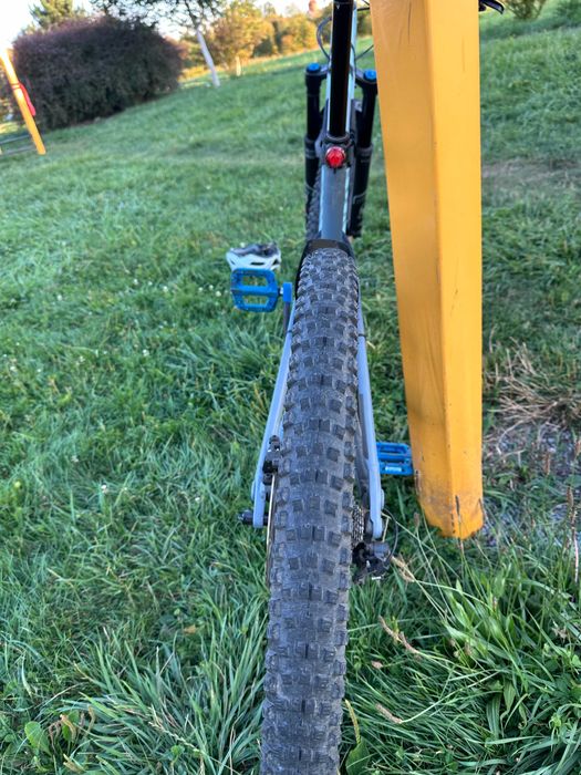 Canyon neuron 6 2023/2024 - L