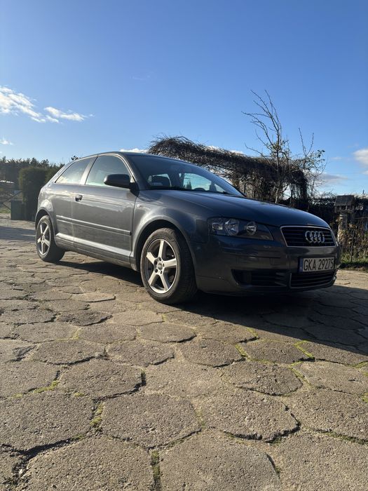 Audi A3 8P 1.9TDI 2005r