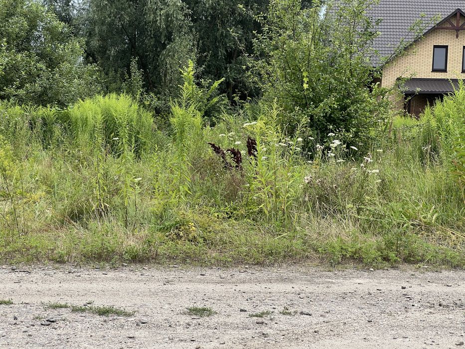 Пр зем12сЗазимье село в природном тихом месте