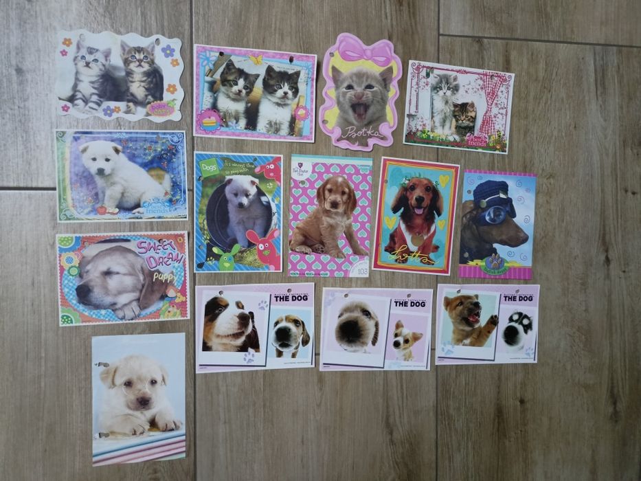 Karteczki do segregatora