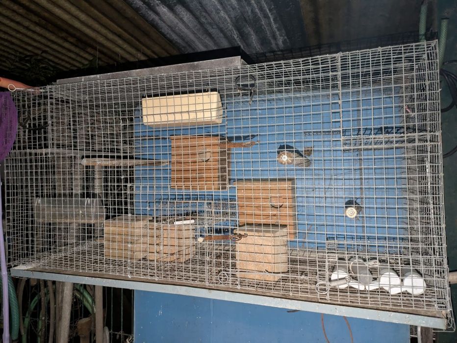 Gaiolas em segunda mão
