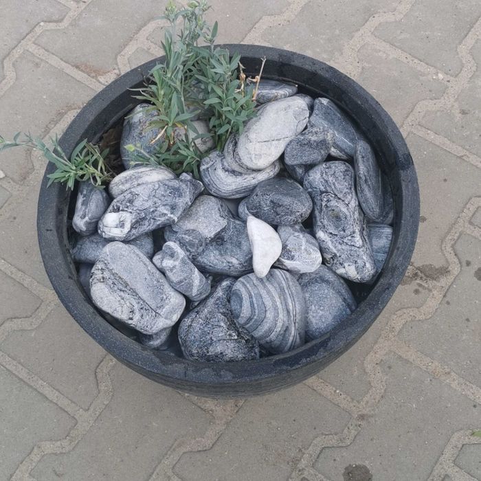 Kamienie Ogrodowe Ozdobne