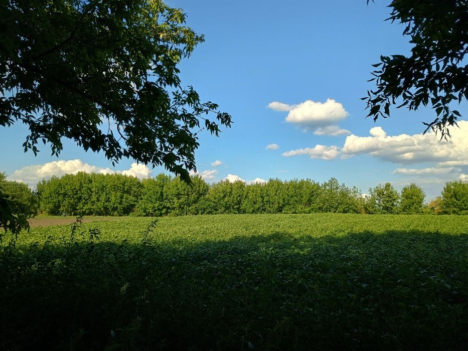 Продам земельну ділянку в с.Стави