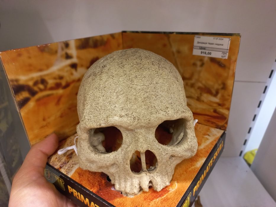 Аксесуари для терраріума тераріуми