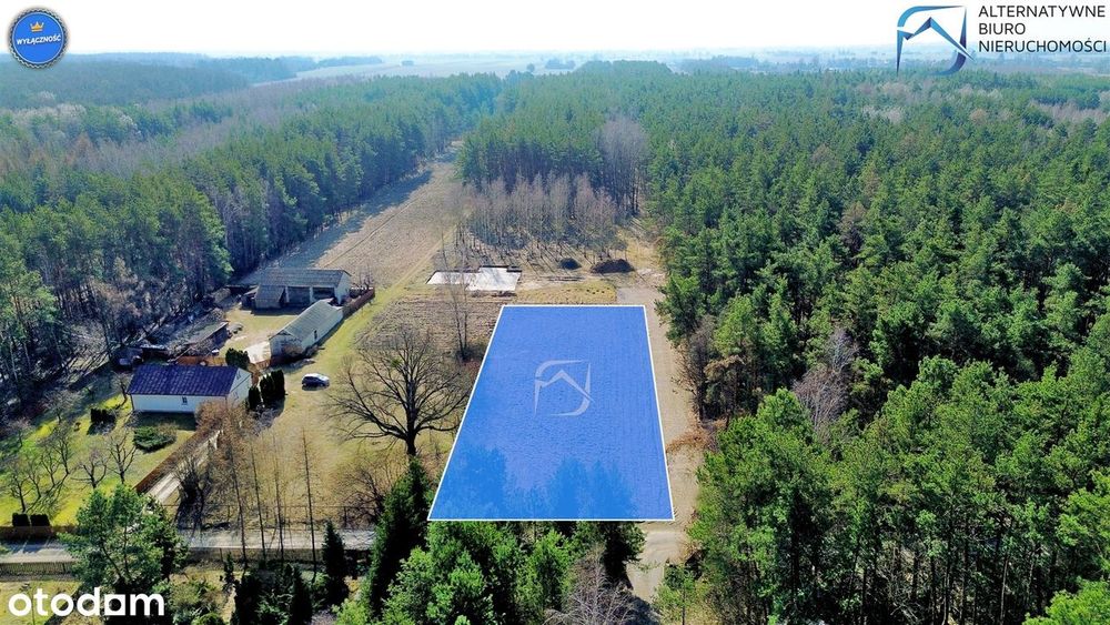 Działka w otulinie lasu - Stoczek