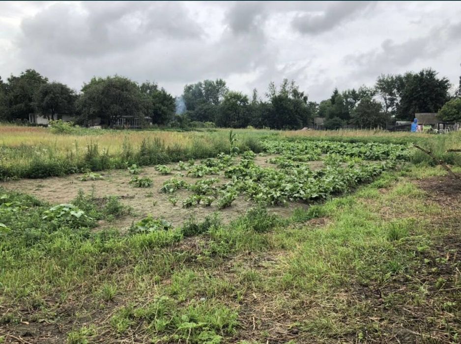 Продам будинок в селі Кошани