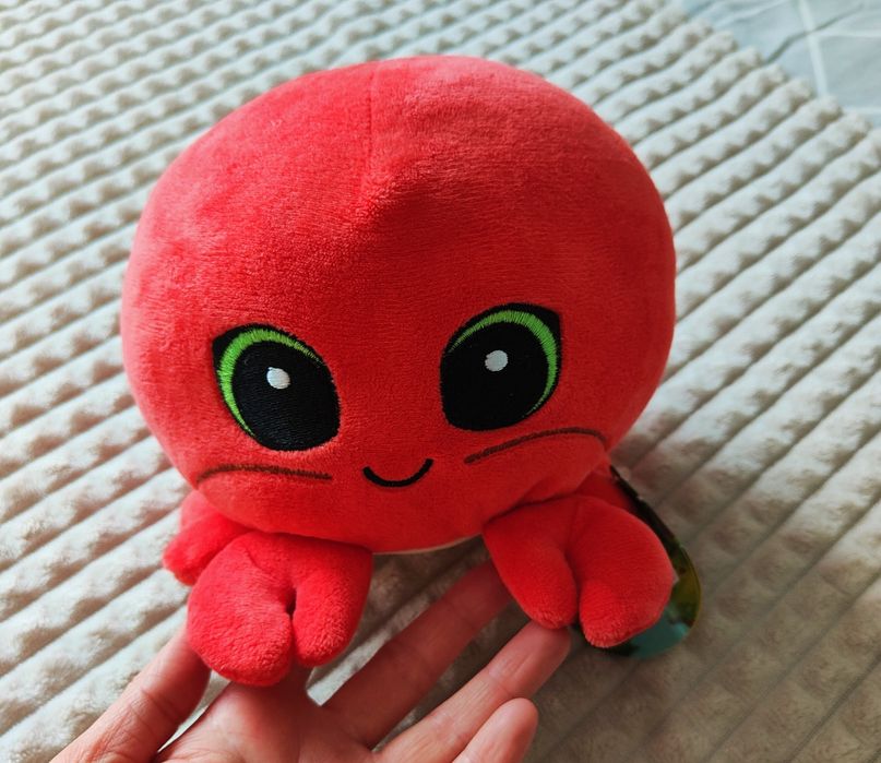 Raczek Romek. Biedronka.