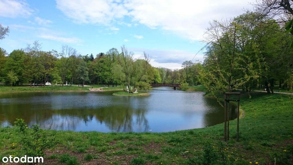 Duże mieszkanie w Bytomiu z balkonem dł. 12m - widok na park miejski