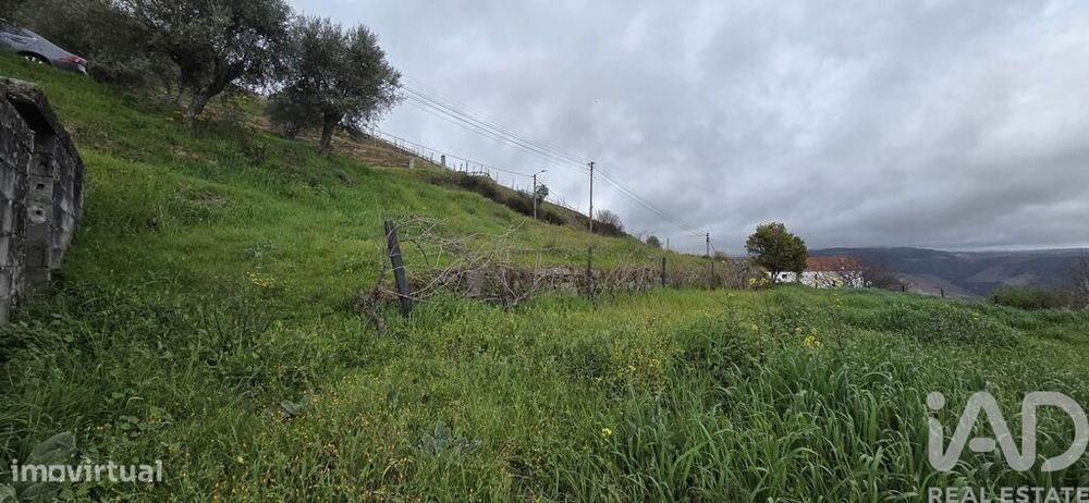 Terreno Agrícola em Vila Seca e Santo Adrião