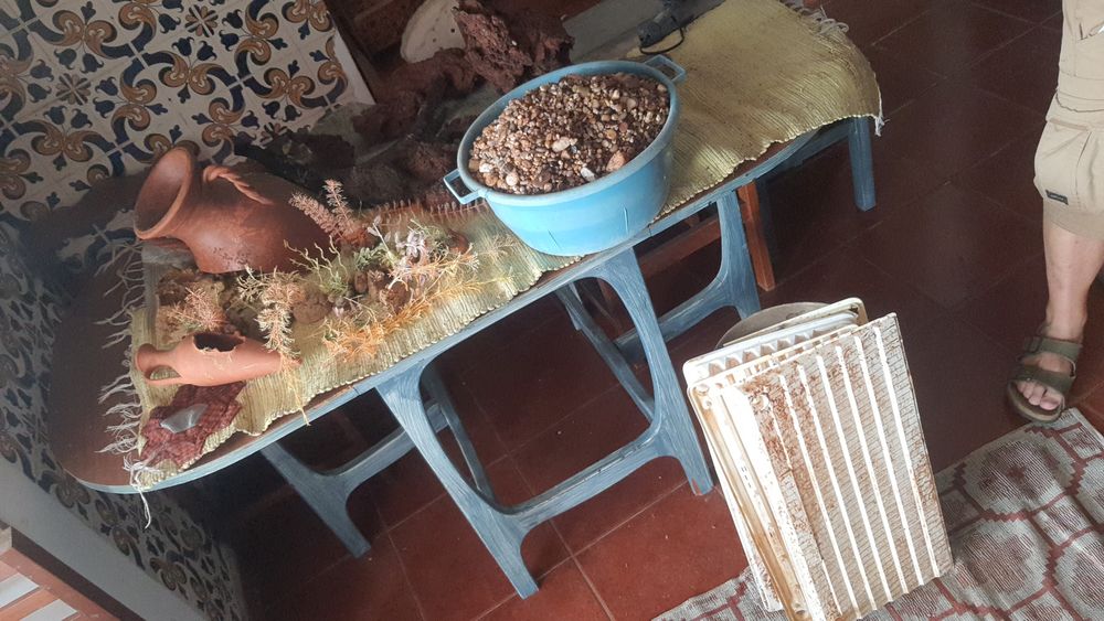Aquários vários tamanhos 50 €