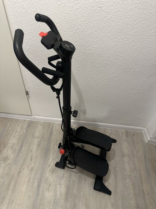 Степпери з Німеччини !