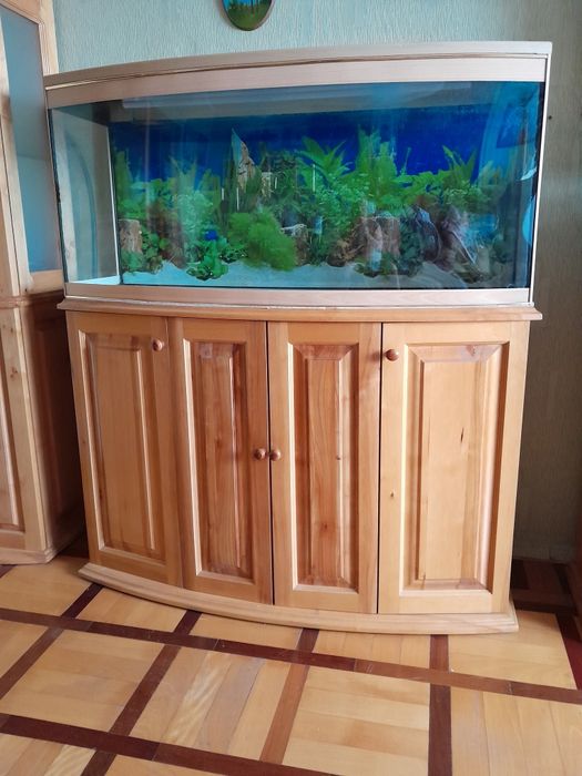 Акваріум для декоративних риб.