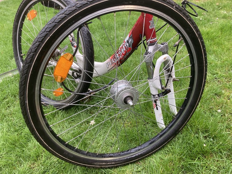 Rower miejski Pegasus