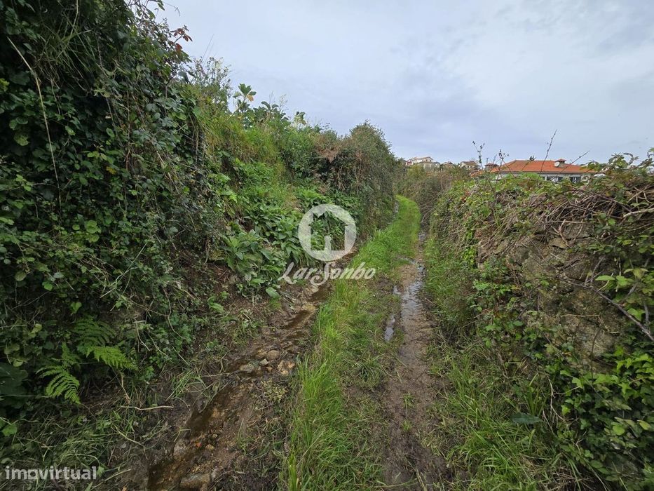 Terreno Agrícola  Terroso | 2.722m²