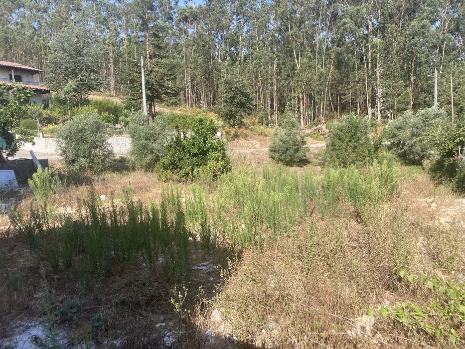 Moradia t4 fase final de construção