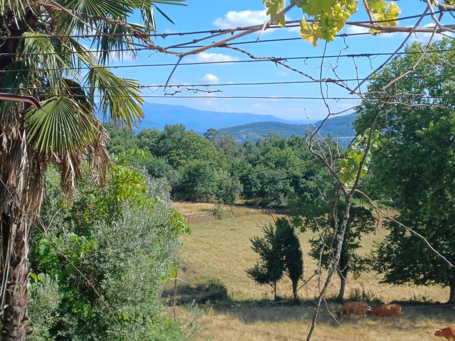 Quinta a cinco minutos da Vila