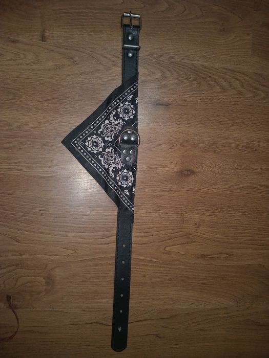 Нашийник для великих собак.Дощовик,вітровка для собак