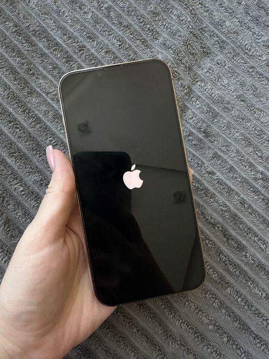 Iphone 13 Pro Max 256 gb