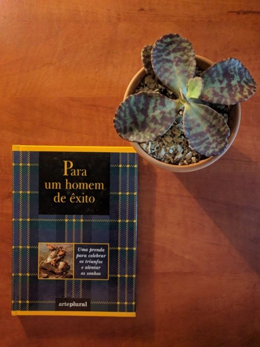 For a Successful Man64740375867905120