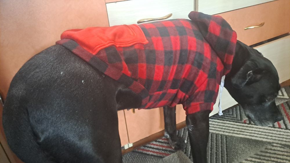 Кофта для собаки, розмір 4XL на вагу 15-25кг