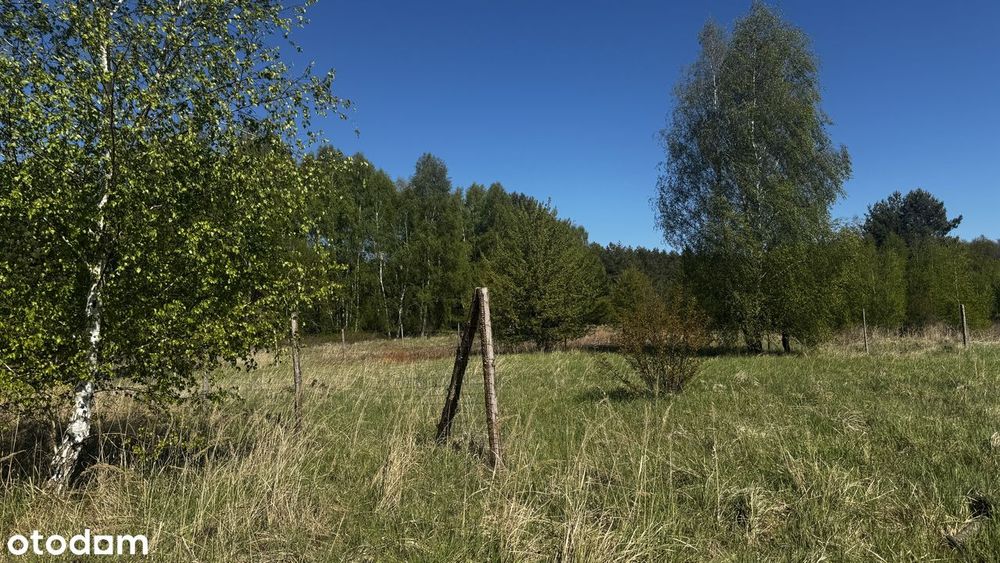 Sprzedam działkę o pow 975 m² w miejscowości trzęsów - View 6