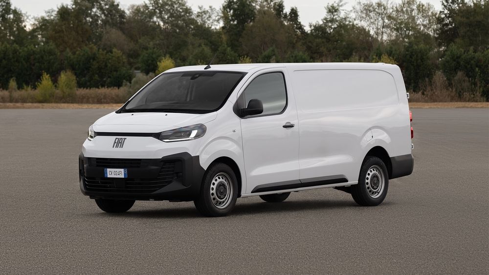 Zdjęcie w galerii numer 2