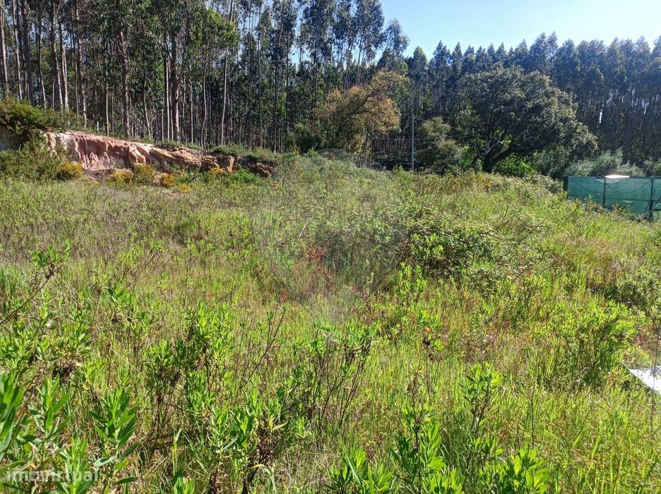 Terreno  para venda — Rio Maior, Santarém
