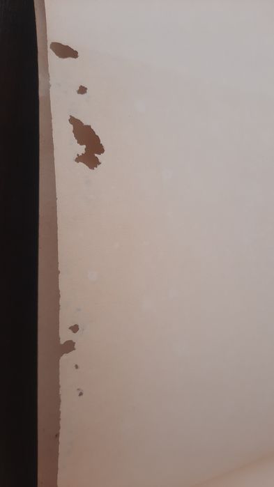 Valores de portugal concelho de Viseu