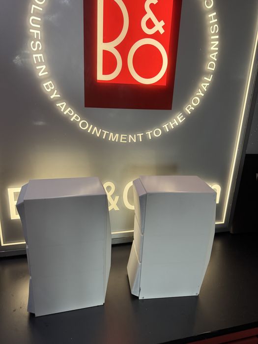 Bang Olufsen beovox CX100