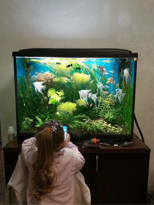 Кришка Світильник + запасні лампи для акваріума 80*35 см лампи Т8 Київ