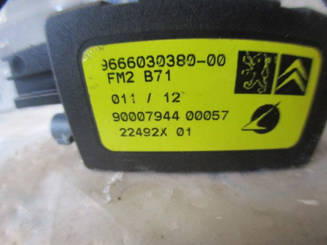 Amplificador de antena CITROËN C4 II (B7)